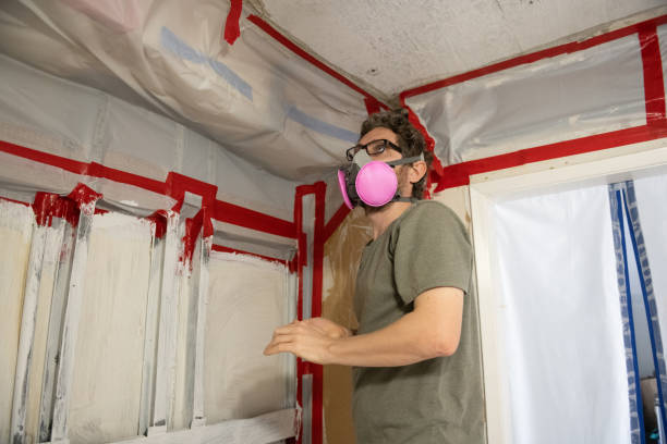 Reliable Shavertown, PA Mold Removal Solutions